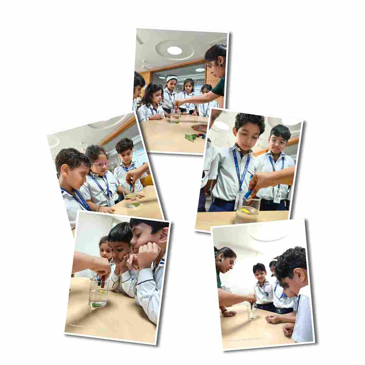 Experiential Learning: Discovery Hour 2.0